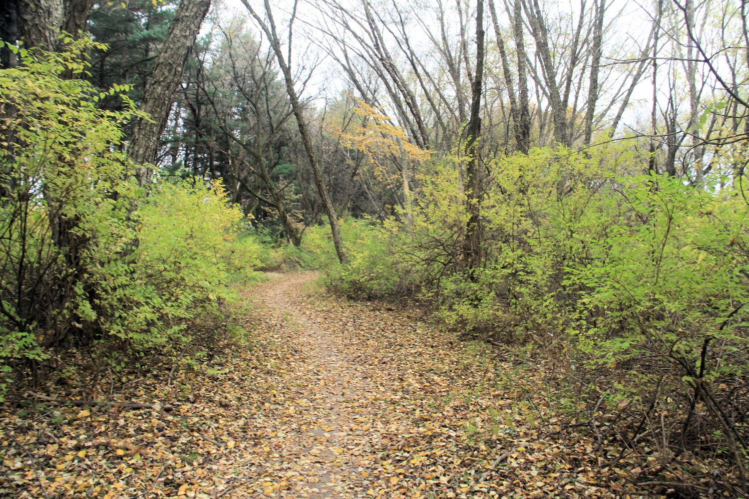 Rock Cut State Park 